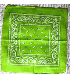 Apple Green Paisley Bandana Scarf Standard