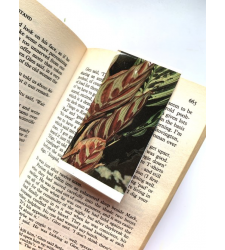 Botanical Hidden Paperclip Bookmark Handmade Reader Gift